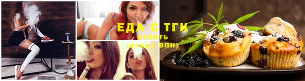 дмт Аркадак