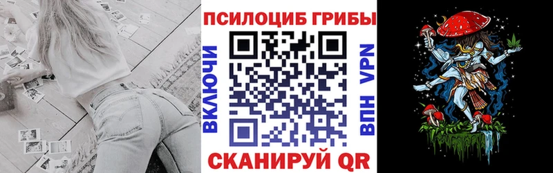 Галлюциногенные грибы Psilocybe  Почеп 
